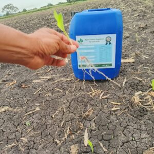 Fertilizante Orgánico Multipropósito de 20 litros