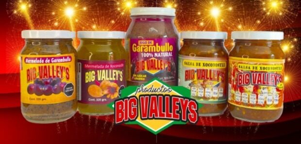 Big Valley´s