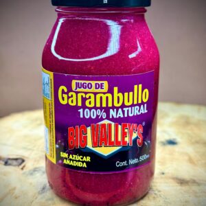 caja de 12 piezas de Jugo de garambullo