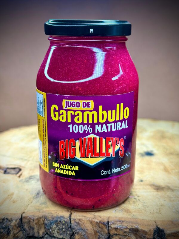 caja de 12 piezas de Jugo de garambullo